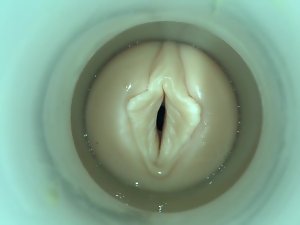 Busting My Cunt by cum cam scrounger